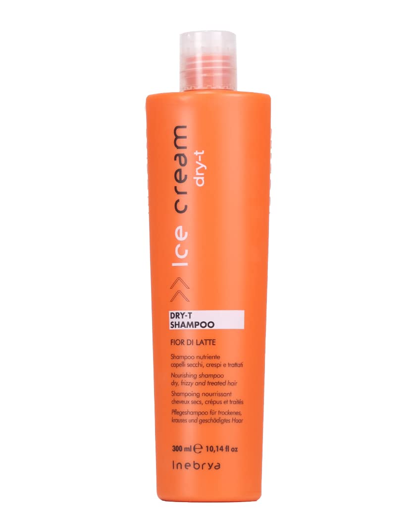 Inebrya Dry-T Shampoo 300 ml