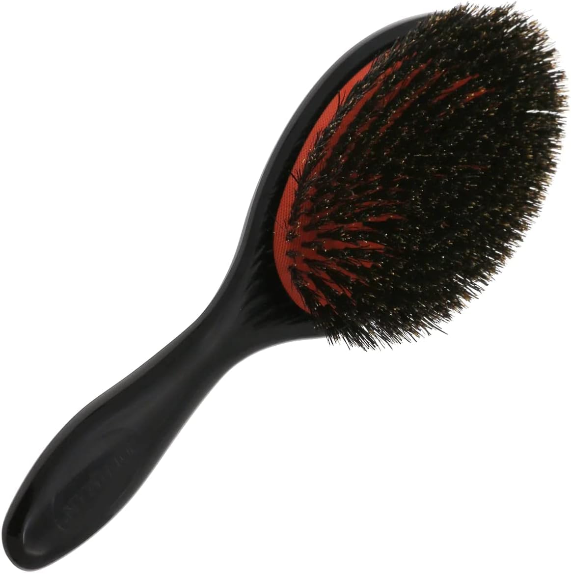 Bristle Oval Cushion Hair Brush