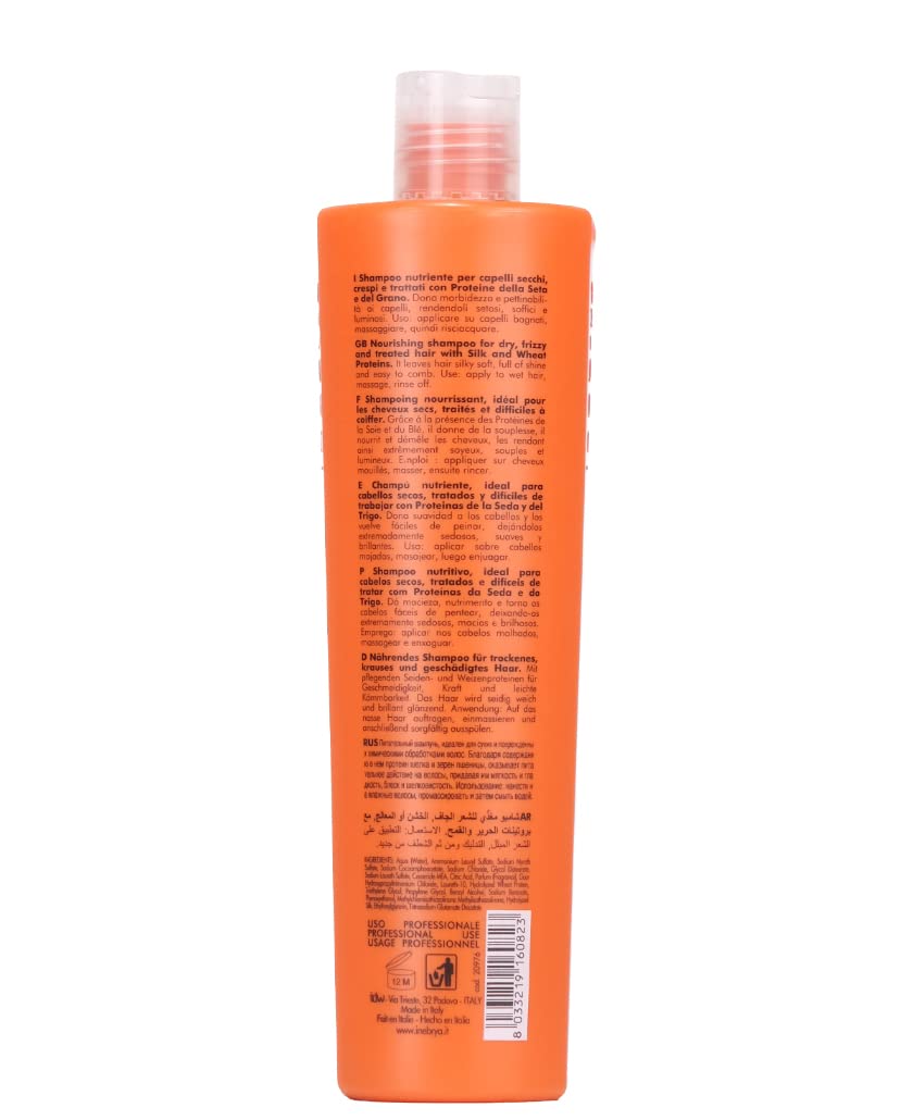 Inebrya Dry-T Shampoo 300 ml